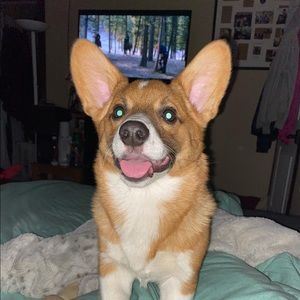 Meet your Posher, Brooklyn